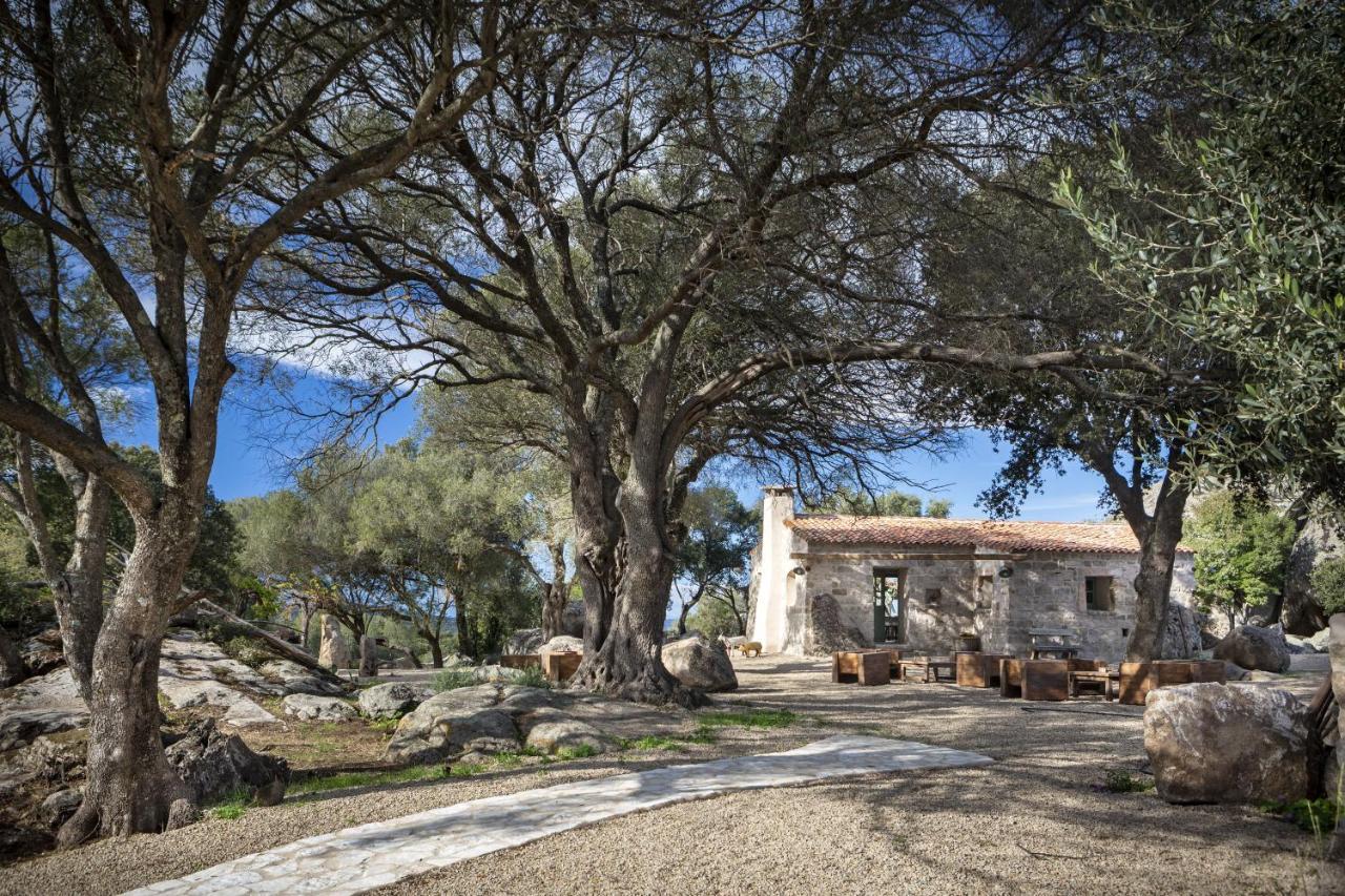 Gallicantu Stazzo Retreat Luogosanto ภายนอก รูปภาพ