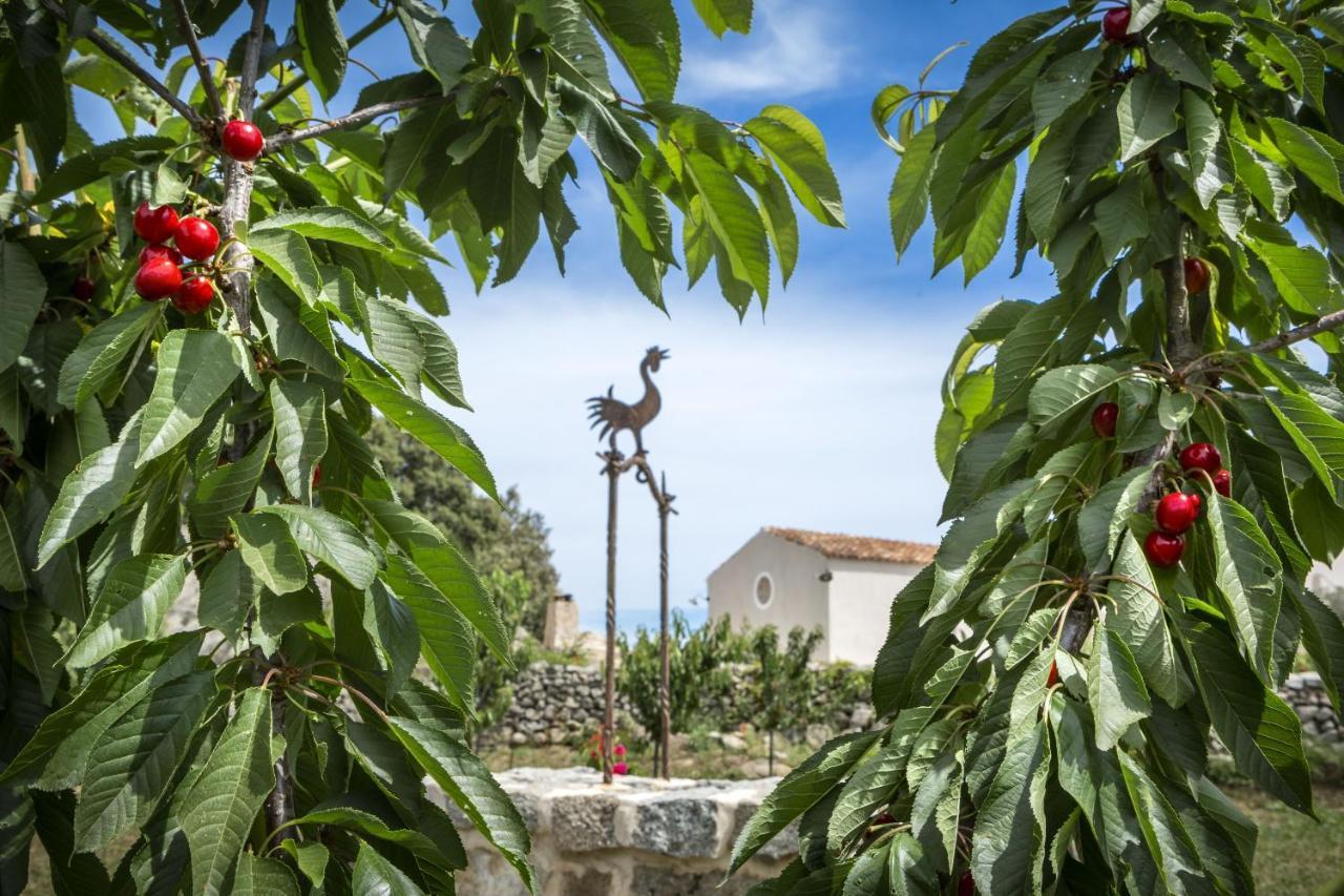 Gallicantu Stazzo Retreat Luogosanto ภายนอก รูปภาพ